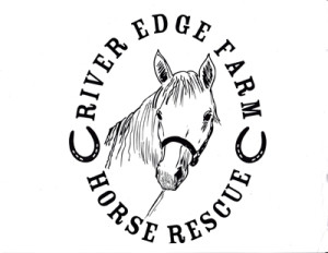 River Edge Farm Horse Rescue