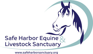 Safe Harbor Equine Sanctuary