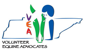 Volunteer Equine Advocates