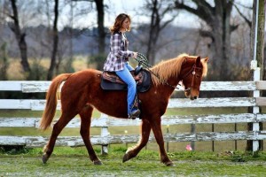 Rally for the Rescues, Kristen Breakfield
